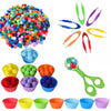 Colorful Ball Sorting, Montessori Early Education, Counting Games